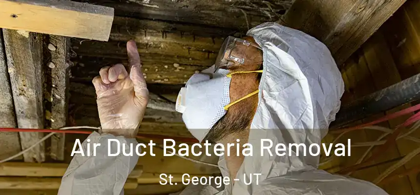  Air Duct Bacteria Removal St. George - UT