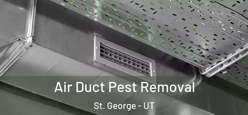 Air Duct Pest Removal St. George - UT