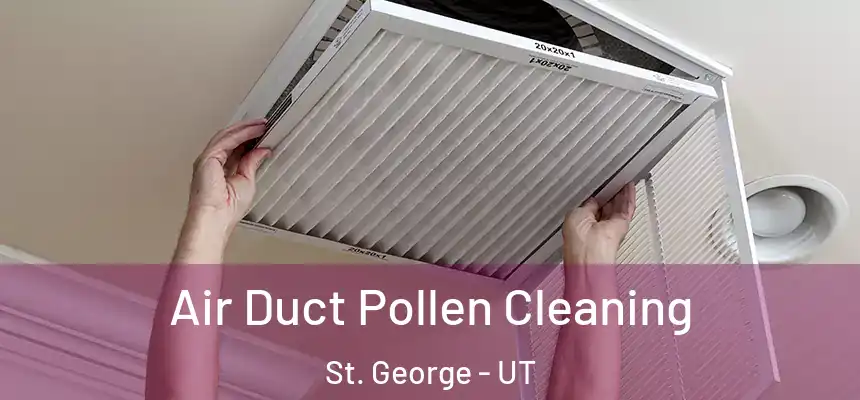  Air Duct Pollen Cleaning St. George - UT