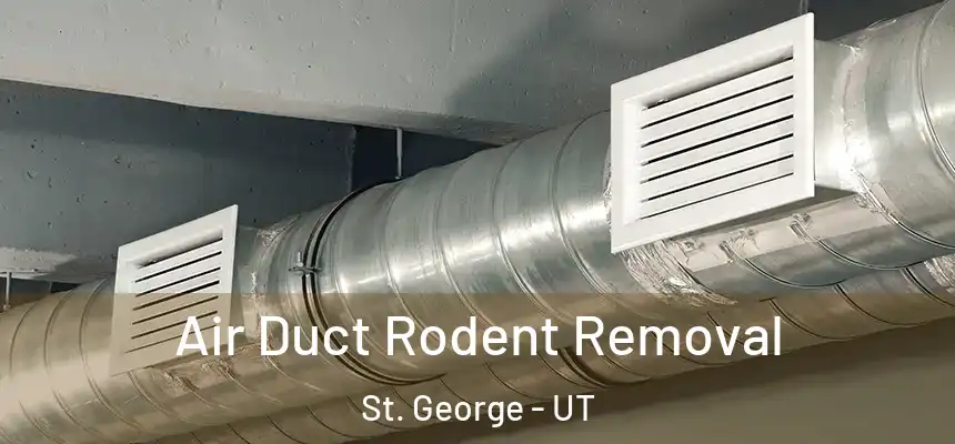 Air Duct Rodent Removal St. George - UT