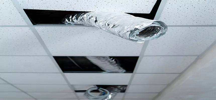 Affordable HVAC Sanitizing After Pest Removal in St. George