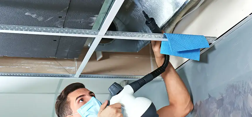 Our Air Duct Rodent Removal Services in St. George, UT