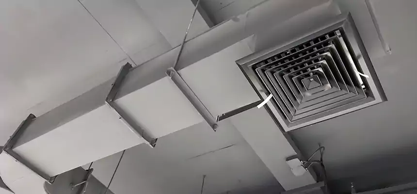 Restorative Allergy Relief Vent Cleaning – Coil, Blower & Housing Detail in St. George