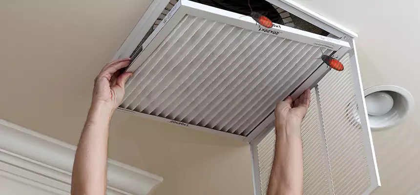 Our Insect Removal from Air Ducts Services in St. George, UT