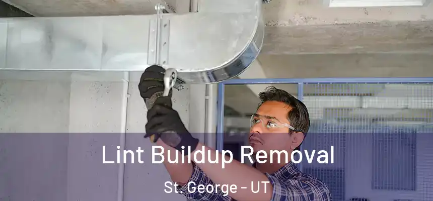 Lint Buildup Removal St. George - UT