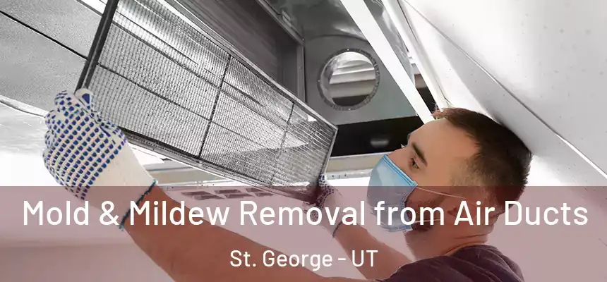 Mold & Mildew Removal from Air Ducts St. George - UT
