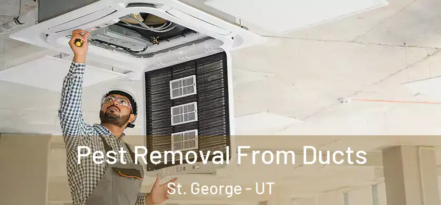 Pest Removal From Ducts St. George - UT