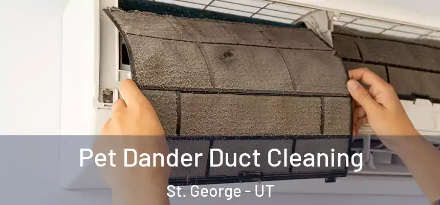 Pet Dander Duct Cleaning St. George - UT