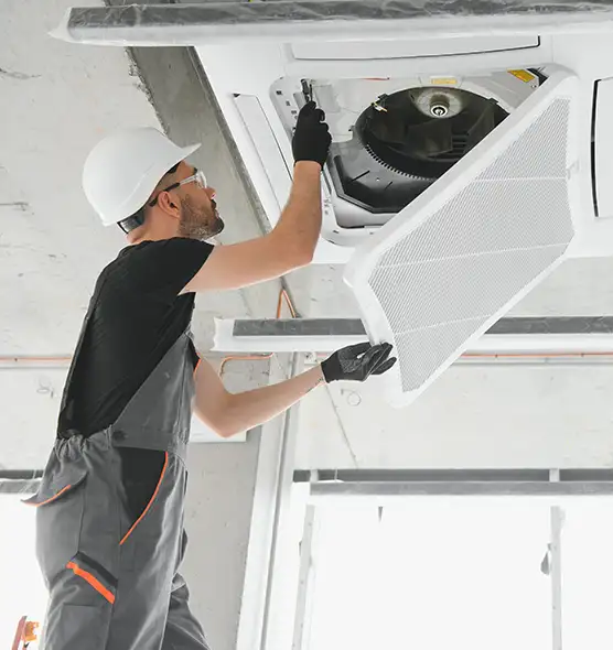 About Air Duct Rodent Removal in St. George, UT