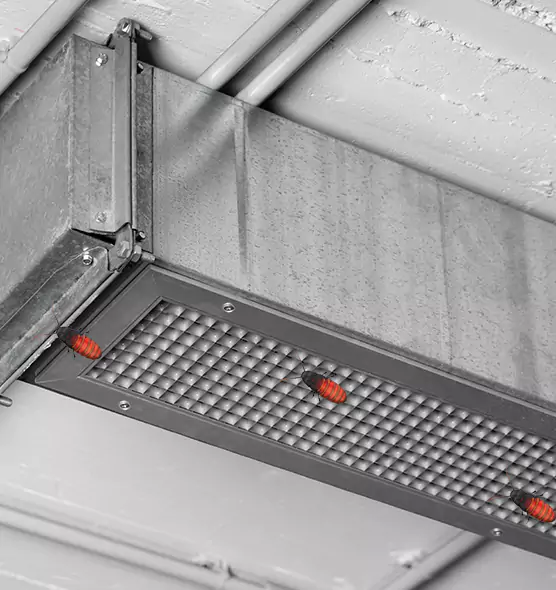 Affordable Insect Removal from Air Ducts in St. George, UT