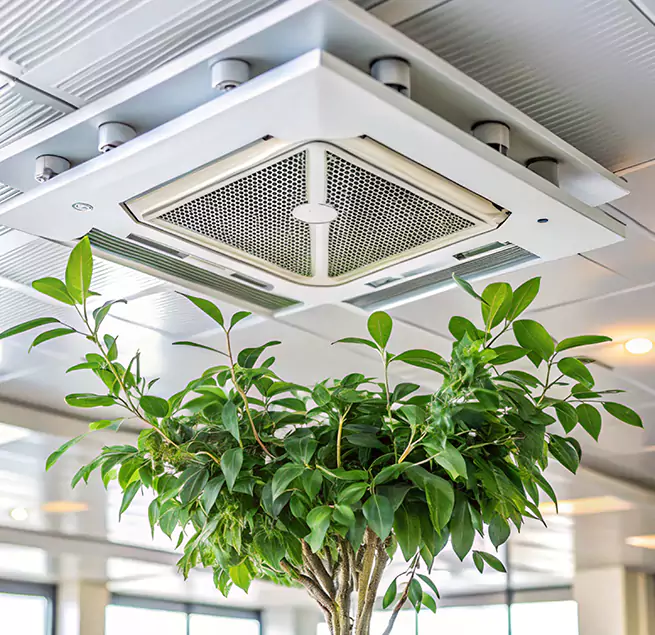 Why Homeowners & Businesses Trust Us in St. George, UT?